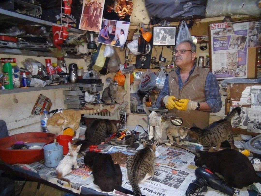 Sokak Hayvanlarına Kucak A&ccedil;an Hayvansever Yetkililerden Yardım Bekliyor