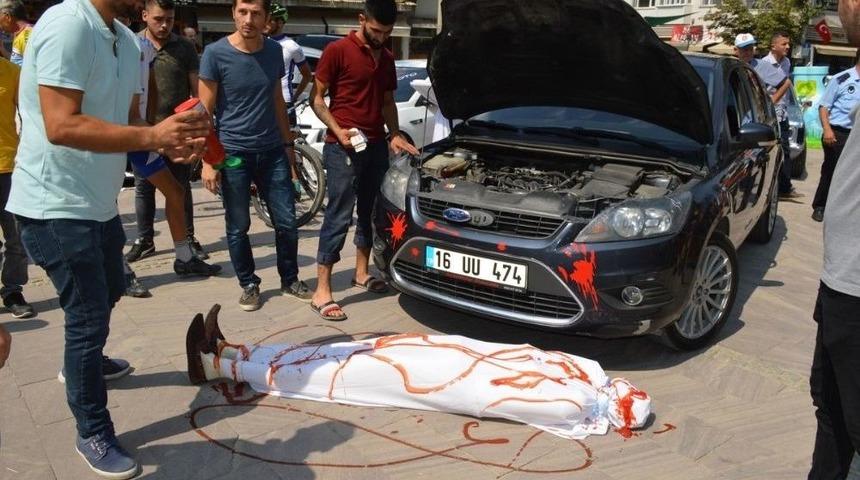 Cesetli Sergi &Uuml;rk&uuml;tt&uuml;