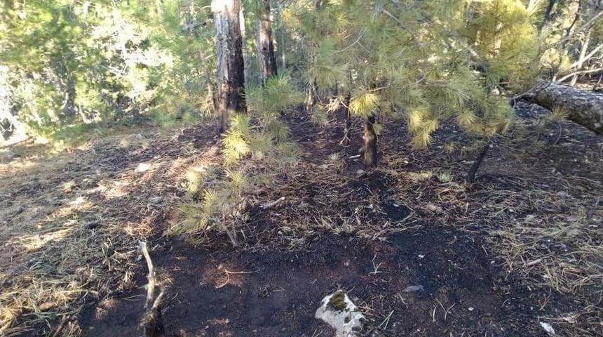 Emet&rsquo;te Orman Yangınına Erken M&uuml;dahale Faciayı &Ouml;nledi