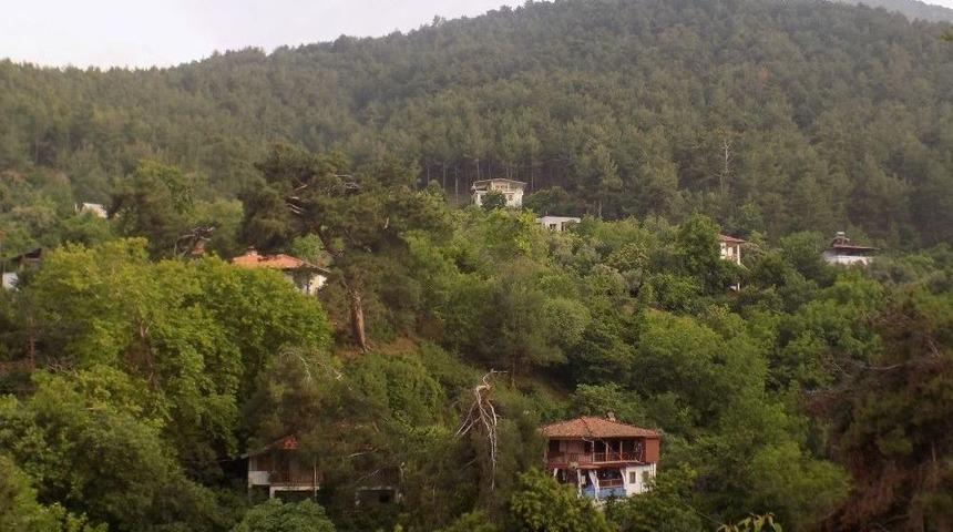 Fatih Portakal Denizi Değil Yeşili Se&ccedil;ti