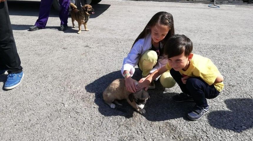 &Ccedil;ocukların Can Dost Hayali