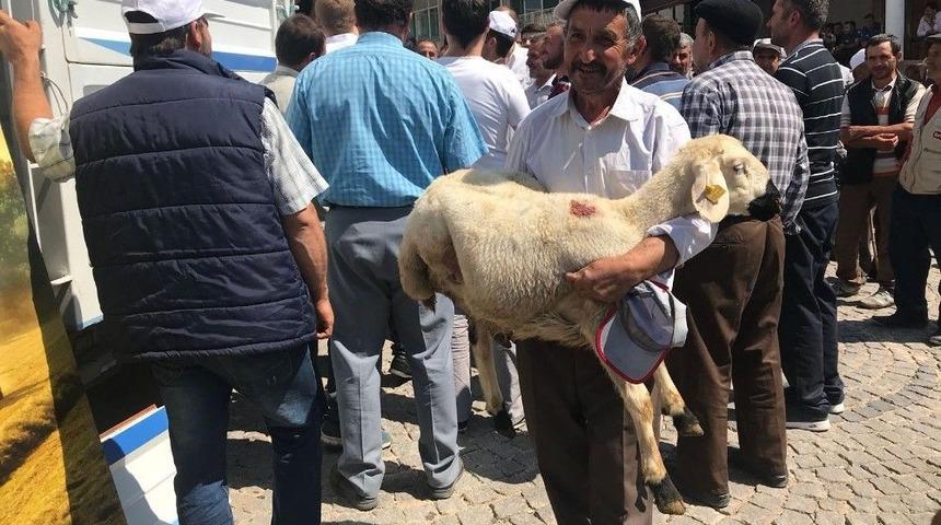 Derbent&rsquo;te K&uuml;&ccedil;&uuml;kbaş Hayvan Desteği