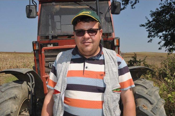 Trakya’nın “sarı Gelini”nde Hasat Başladı G2