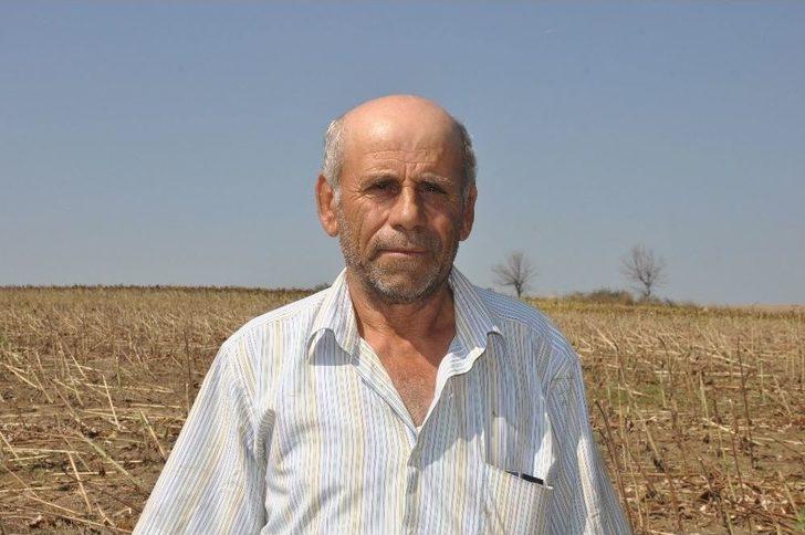 Trakya’nın “sarı Gelini”nde Hasat Başladı G3