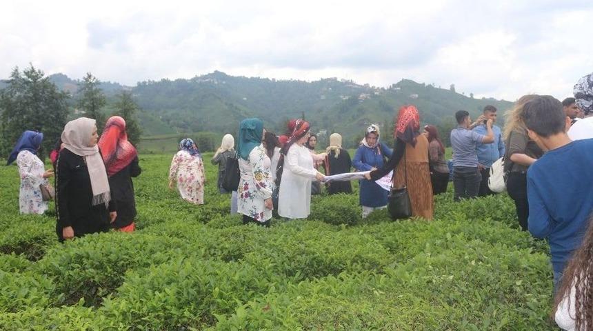 Mardinli Kadınlar Karadeniz Turunda