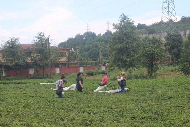 Mardinli Kadınlar Karadeniz Turunda