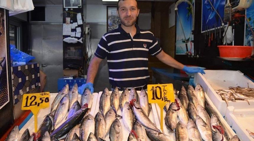 Fırtına Nedeniyle Balık&ccedil;ılar Deniz A&ccedil;ılamayınca Palamut Fiyatını İkiye Katladı