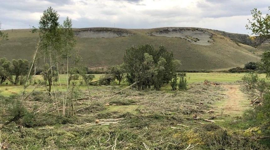 Sular Altına Kalacak Ağa&ccedil;lar Kesiliyor
