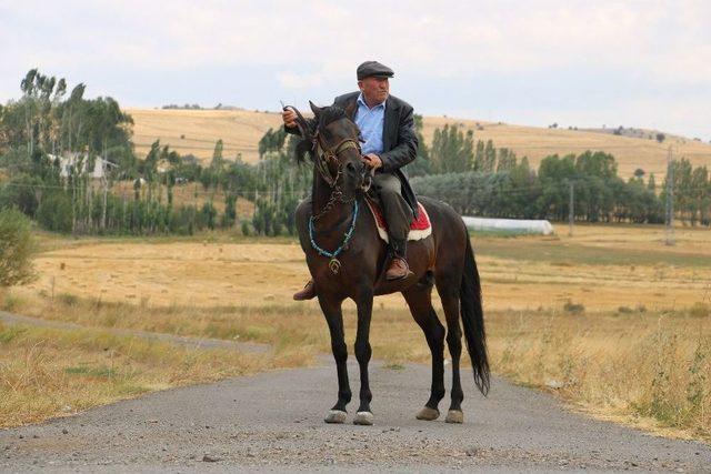 72 Yaşında Tüm Ulaşımını Atla Sağlıyor