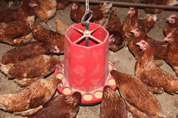 Medyada Haberlerini Gördü, Devlet Desteğiyle Çiftlik Kurdu G1