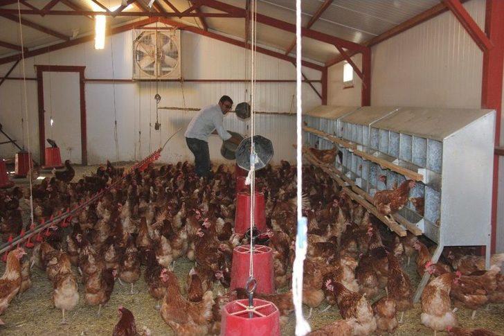 Medyada Haberlerini Gördü, Devlet Desteğiyle Çiftlik Kurdu G2