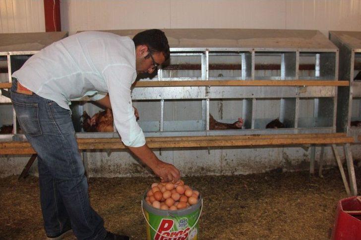 Medyada Haberlerini Gördü, Devlet Desteğiyle Çiftlik Kurdu G4