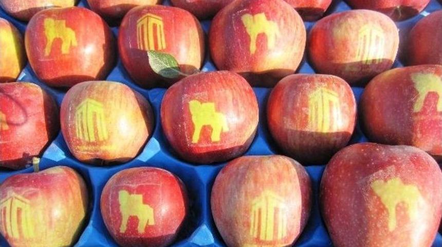 &Ccedil;anakkale Logolu Elma Yetiştirdiler