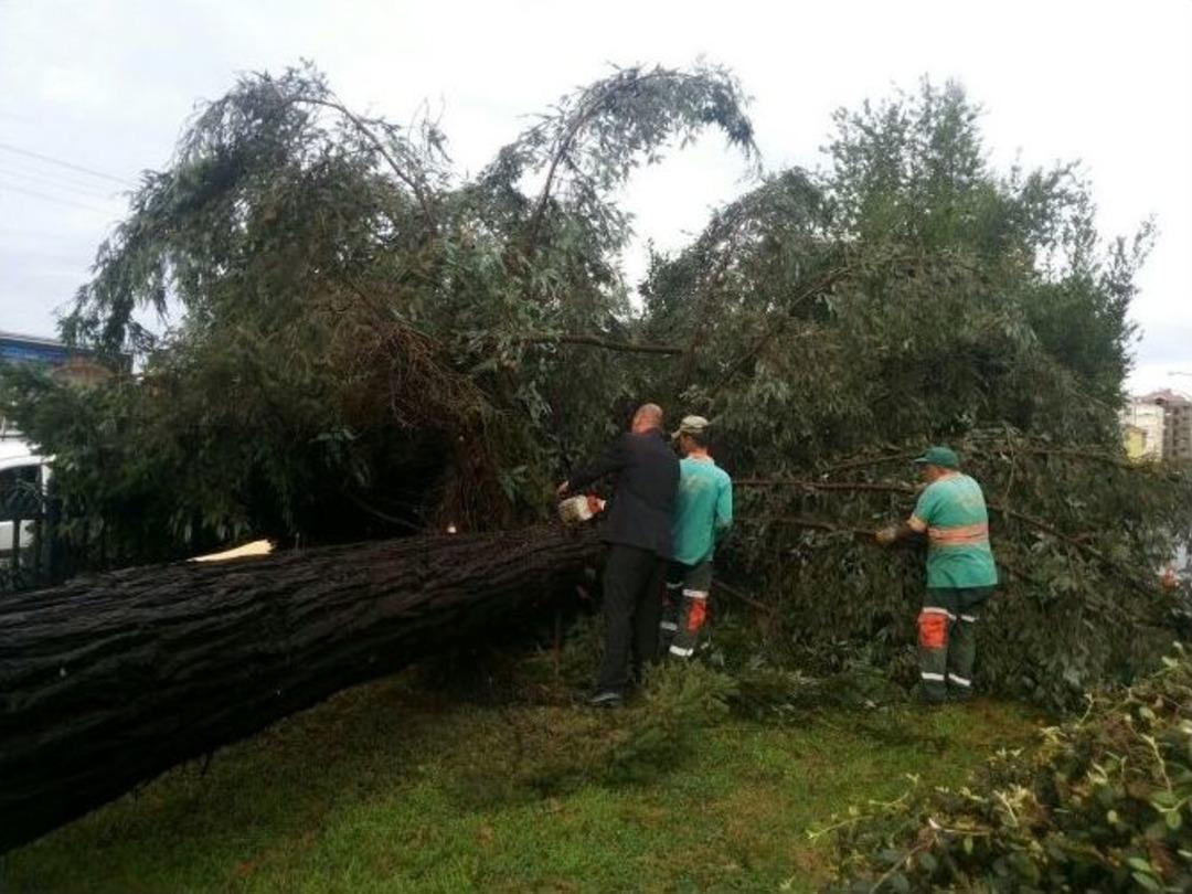 Trabzon&rsquo;daki Şiddetli Yağış
