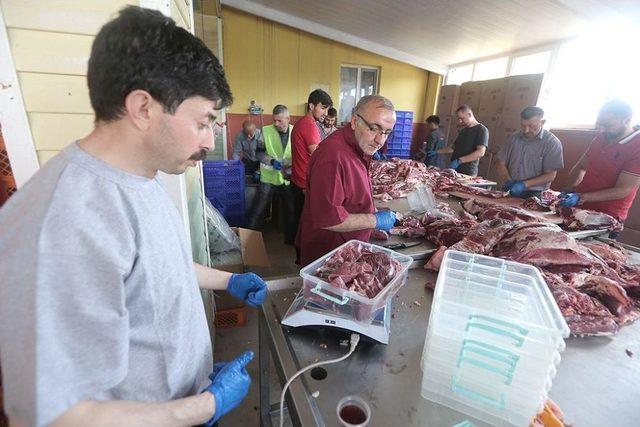 Hayat Ağacı Derneği 120 Adet Kurban Kesti