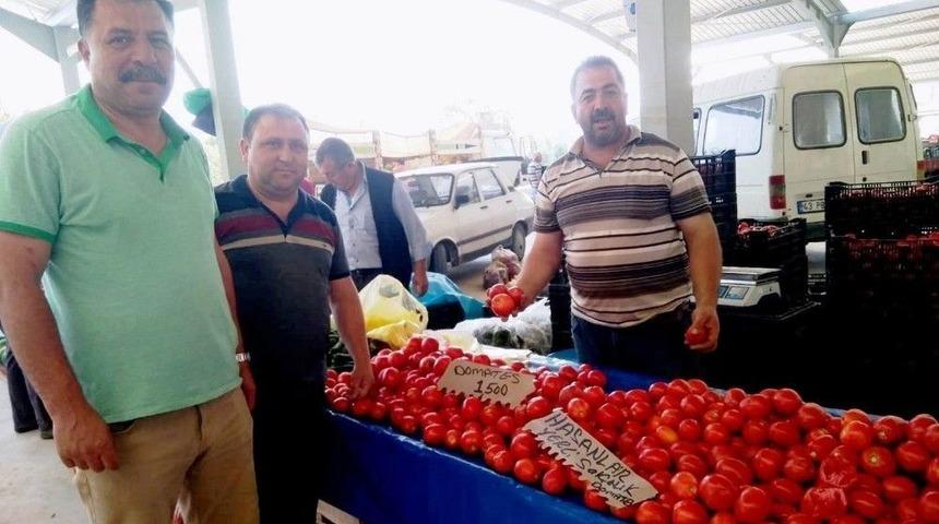 Bilinçli Üretim Yapan Domates Üreticisi Fungal Hastalığından Etkilenmedi