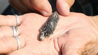 Yumuktepe’de 8 Bin 600 Yıllık Ok Ucu Bulundu