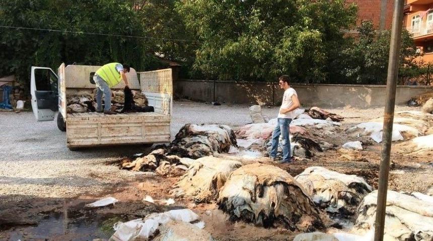 Hisarcık Thk Deri Gelirini İkiye Katladı