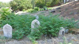 Tarihi Mezarlığa Büyük Vefasızlık
