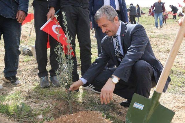 Şahinbey’de 606 Park Vatandaşın Hizmetine Sunuldu