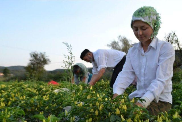 Çok Sevdiği Makbule Efe’nin Klibinde Oynadı