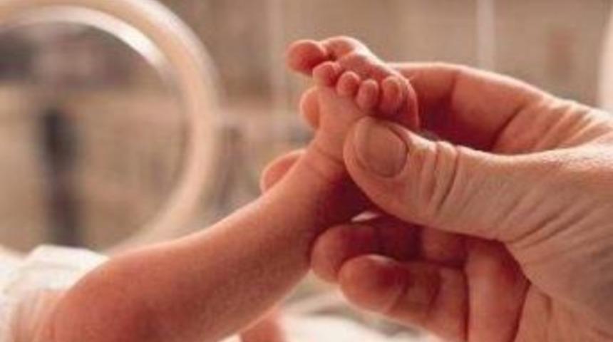 Anne S&uuml;t&uuml; Premat&uuml;re Bebekleri Kurtarıyor