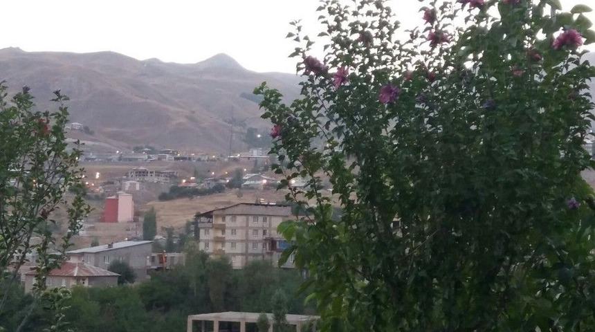 Hakkari&rsquo;de İlk Defa Ekilen Hatemi Ağa&ccedil;ları &Ccedil;i&ccedil;ek A&ccedil;tı