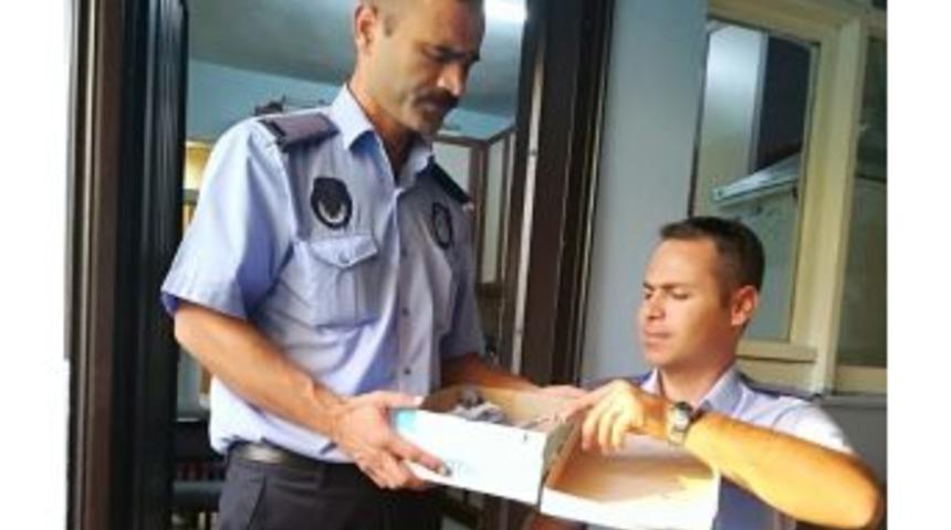 Ayağı Kırık Güvercine Zabıta Şefkati