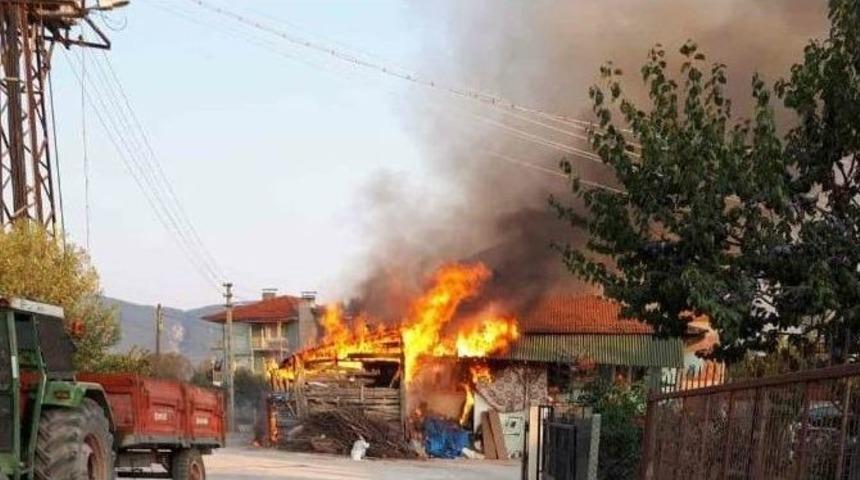 B&uuml;y&uuml;kbaş Hayvanlar Yangından Son Anda Kurtarıldı