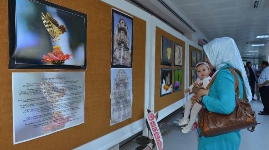 &ldquo;bafra&rsquo;nın Kelebekleri Ve Ağlayan Evler&rdquo; Resim Sergisi