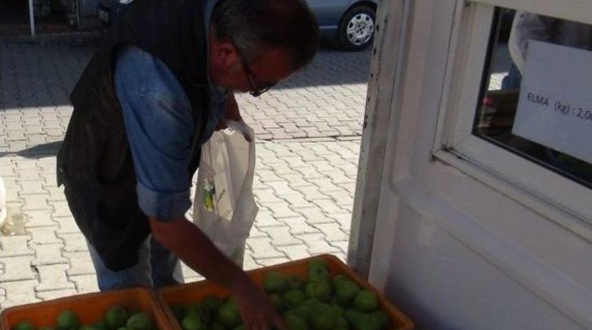 Bağcılık Araştırma İstasyonu&rsquo;nun Organik Elması B&uuml;y&uuml;k İlgi G&ouml;rd&uuml;