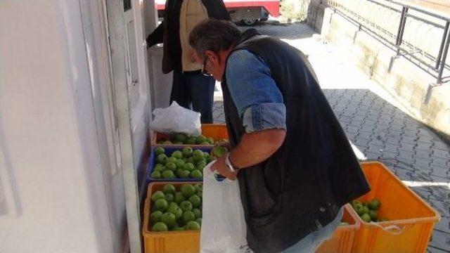 Bağcılık Araştırma İstasyonu’nun Organik Elması Büyük İlgi Gördü