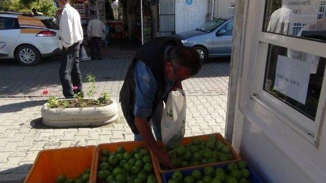 Bağcılık Araştırma İstasyonu’nun Organik Elması Büyük İlgi Gördü