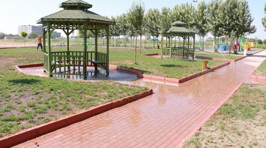 Suru&ccedil;&rsquo;ta Yeşillendirme &Ccedil;alışmaları S&uuml;r&uuml;yor