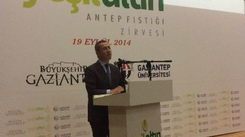 Bartık: &ldquo;fıstığa Değer Katmalıyız&rdquo;