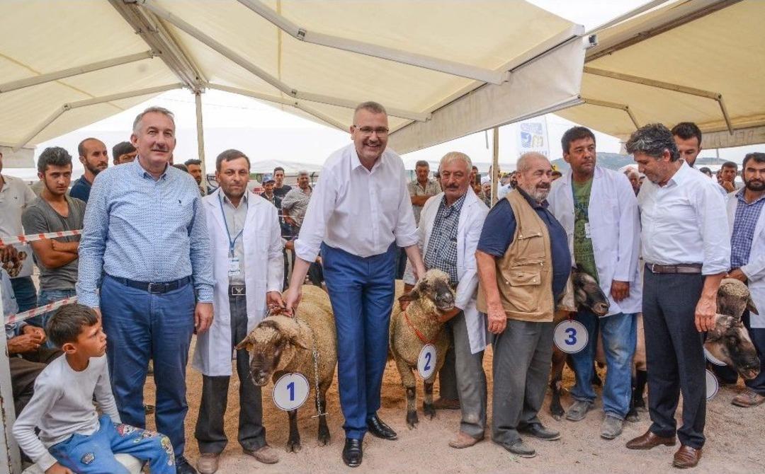 Bu Ko&ccedil; 15 Bin Tl&rsquo;ye Satıldı