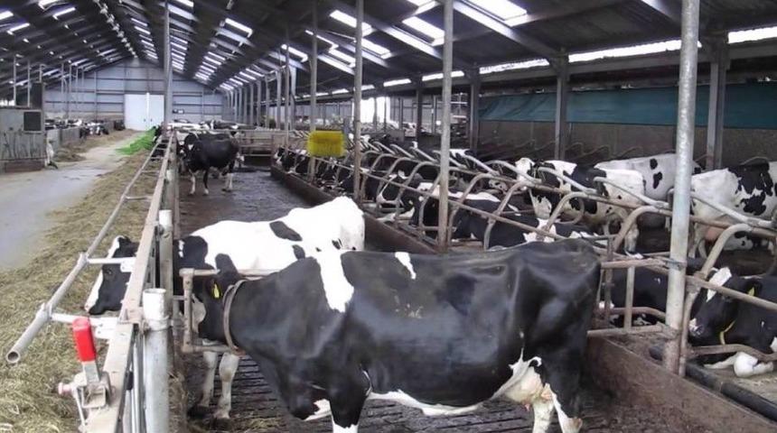 Şarbon İle M&uuml;cadelede G&uuml;&ccedil;l&uuml; Bir &Ccedil;alışma Yapılmalı