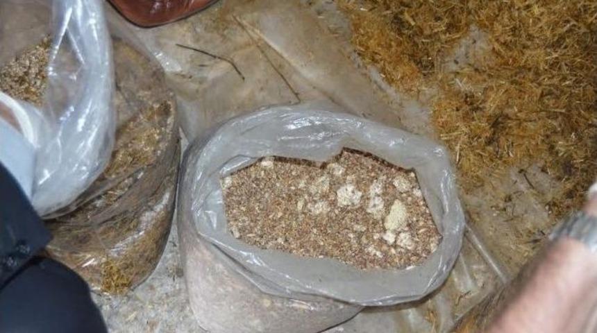 Ulubey&rsquo;de Kayın Mantarı Yetiştirilecek