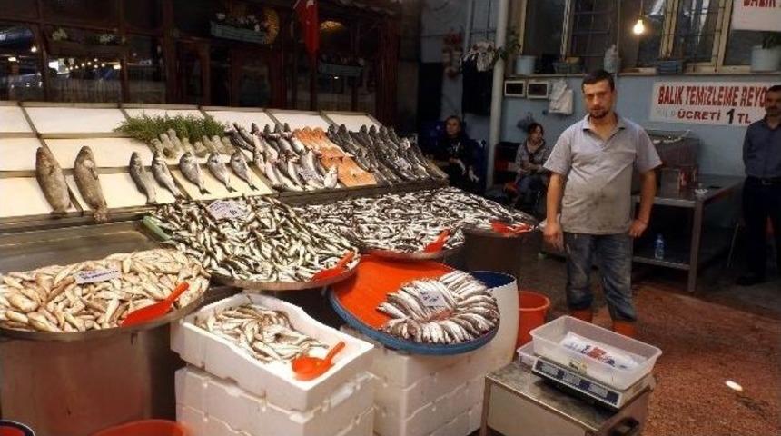 Yerli Palamut El Yakıyor