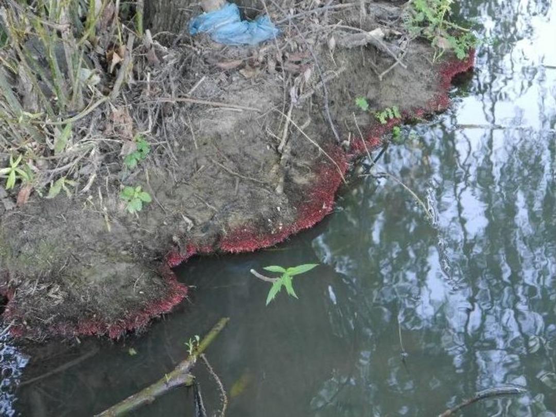 Şehit Babasından "şehit Kanları Dere Yatağını Kırmızıya Boyadı" İddiası