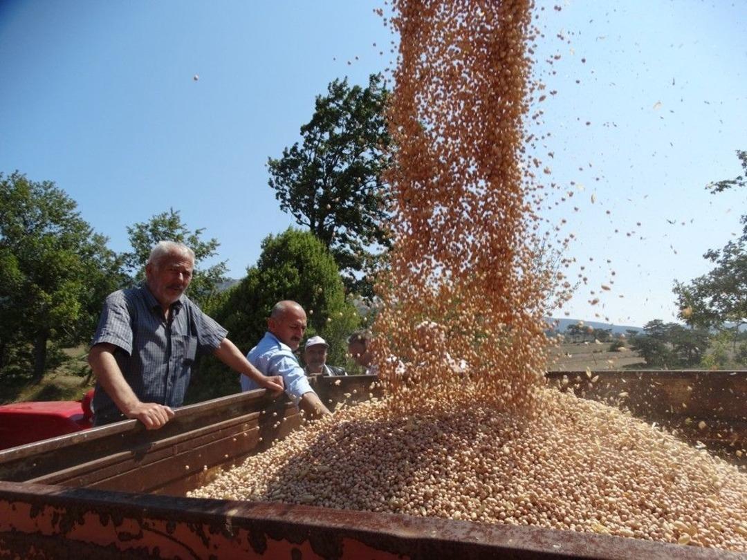 Nohut &Uuml;reticisinin Y&uuml;z&uuml;n&uuml; G&uuml;ld&uuml;rd&uuml;