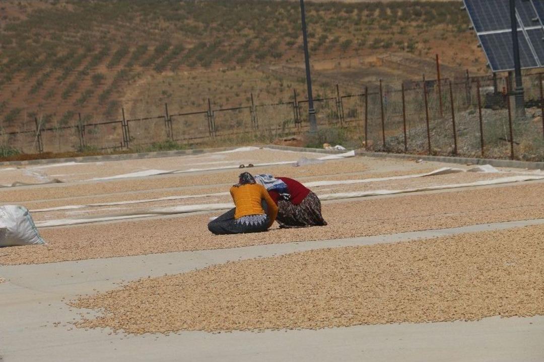 Siirt&rsquo;te Kurulan 9 Milyon Avroluk Tesis İstihdamı Arttırdı