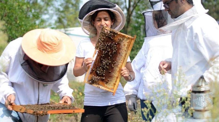 Dagem Kalkınmada &Ouml;nemli Katkı Sağlıyor