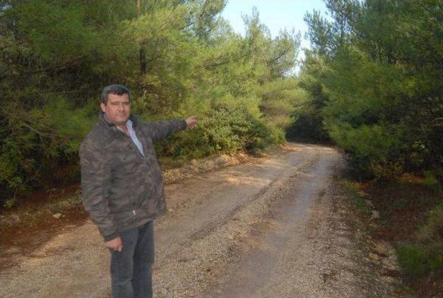 Urla Rüzgar Enerjisi Projesi İçin Mahkemeden Köylüleri Sevindiren Karar (2)- Yeniden 3