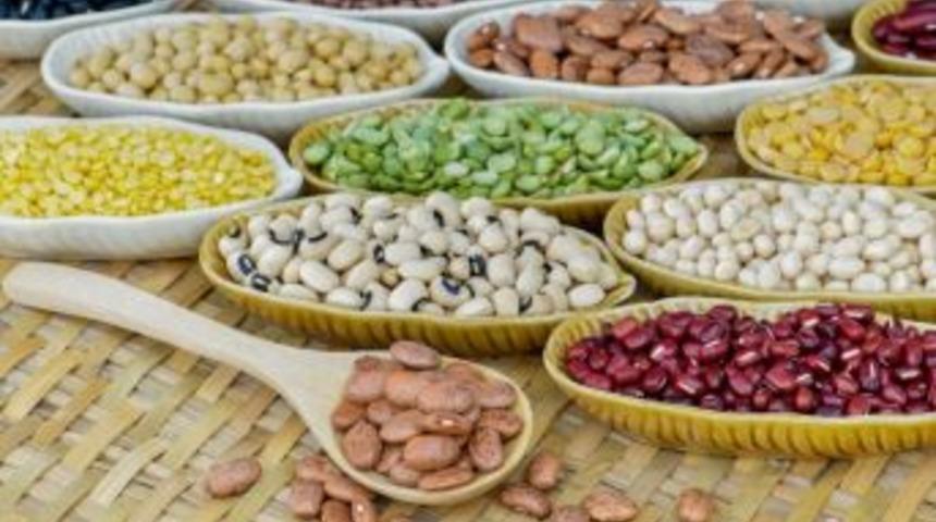 Ahbib’in Ağustos Ayı İhracatı 82.3 Milyon Dolar