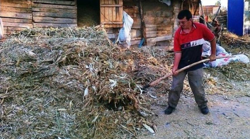 &Ccedil;ift&ccedil;iler Mısır Saplarını Değerlendiriyor