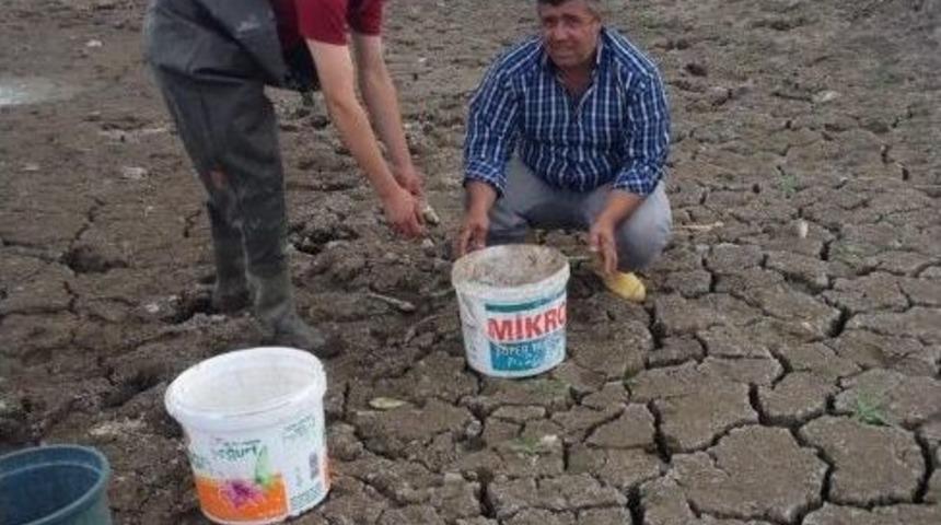 3 Arkadaşın &Ouml;rnek Davranışı