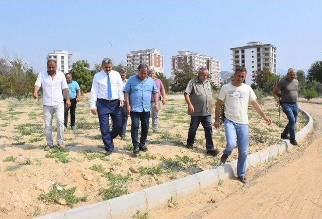 Türkiye’nin Örnek Projesi Nazilli’de Yeşeriyor