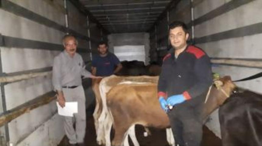 Dumlupınar&rsquo;da 8 Gen&ccedil; &Ccedil;ift&ccedil;iye D&uuml;ve