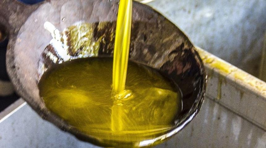 Zeytinciden Ekonomiye Destek